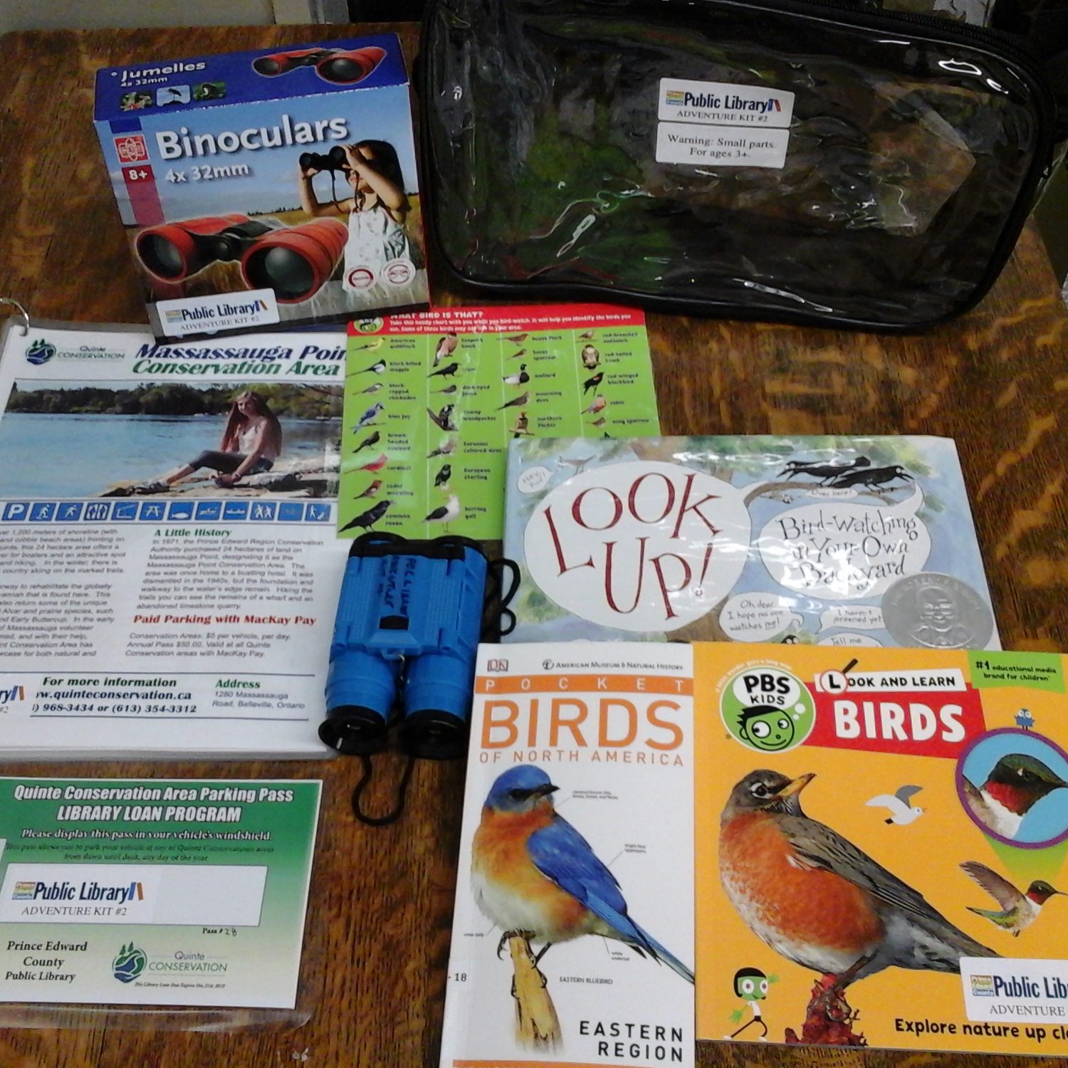 Bird Kit